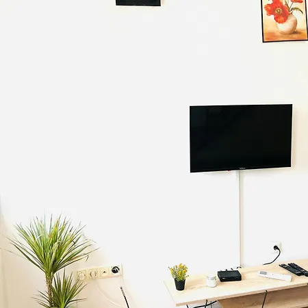 Zone 2 Apartment
