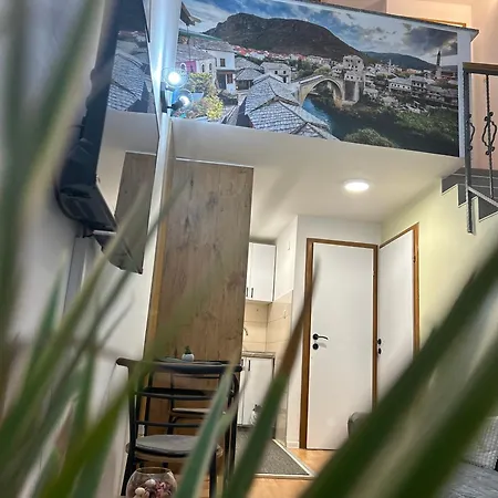 Zone 2 Apartment